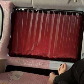 车震小龙女 在公园玩